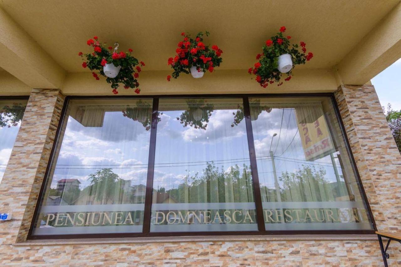 Pensiunea Domneasca Pitesti Exterior photo